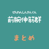 前腕伸筋群（ぜんわんしんきんぐん）のまとめ