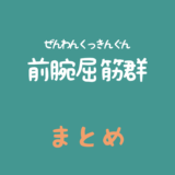 前腕屈筋群（ぜんわんくっきんぐん）のまとめ