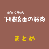 長趾屈筋（ちょうしくっきん）と長母趾屈筋（ちょうぼしくっきん）のまとめ