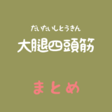 大腿四頭筋（だいたいしとうきん）のまとめ