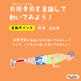 前脛骨筋（ぜんけいこつきん）を意識して動いてみよう！