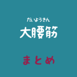 大腰筋（だいようきん）のまとめ