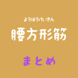 腰方形筋（ようほうけいきん）のまとめ