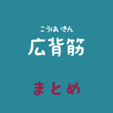 広背筋（こうはいきん）のまとめ