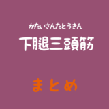 下腿三頭筋（かたいさんとうきん）のまとめ