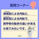 僧帽筋による内転と、 菱形筋による内転で、 肩甲骨の動きの違いがあるか見てみたいです｜質問07