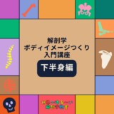 リアル解剖学ボディイメージつくり入門講座 下半身編（２日間講座）