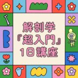 解剖学『超入門』1日講座『 肩甲骨と骨盤で学ぶ 解剖学の学び方と使い方 』