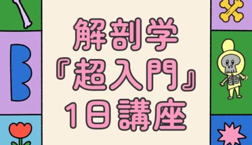 解剖学『超入門』1日講座『 肩甲骨と骨盤で学ぶ 解剖学の学び方と使い方 』