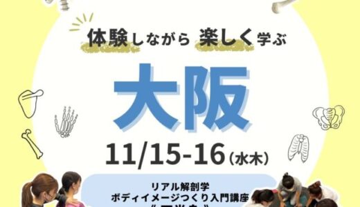 【大阪】2023/11/15-16 解剖学ボディイメージつくり 下半身編
