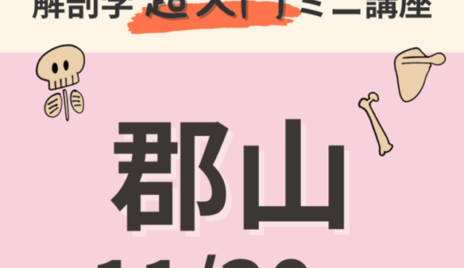 【福島・郡山】2023/11/30　解剖学『超入門』ミニ講座